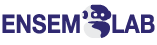 loader image